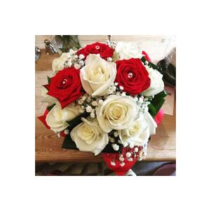 Red And White Roses