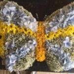 butterfly-tribute